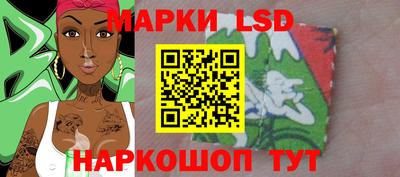 прущие грибы Будённовск