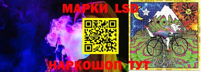 прущие грибы Будённовск