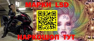 прущие грибы Будённовск