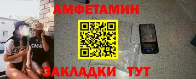 прущие грибы Будённовск