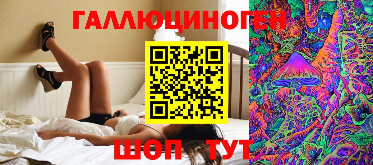 купить наркоту  Псилоцибиновые грибы ЛСД  Вход с VPN  Нефтекумск  Галлюциногенные грибы Psilocybine cubensis 